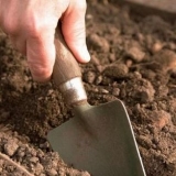 Kako poboljšati tlo u bašti